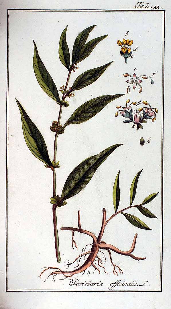 no HD illustration available (3)