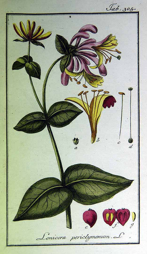 no HD illustration available (3)