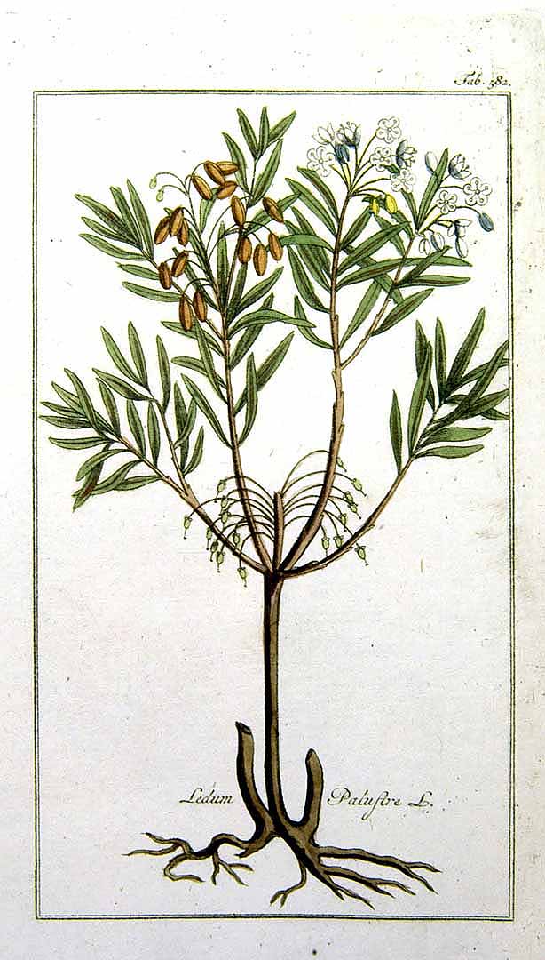 no HD illustration available (3)