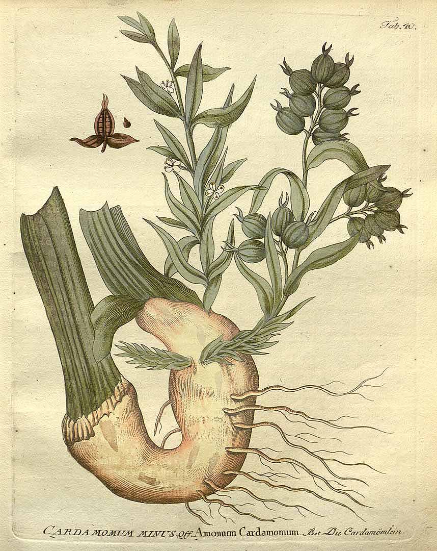 no HD illustration available (3)