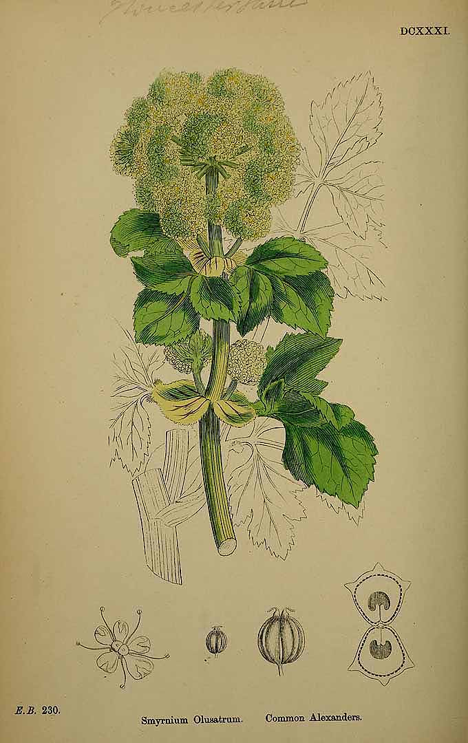 no HD illustration available (3)