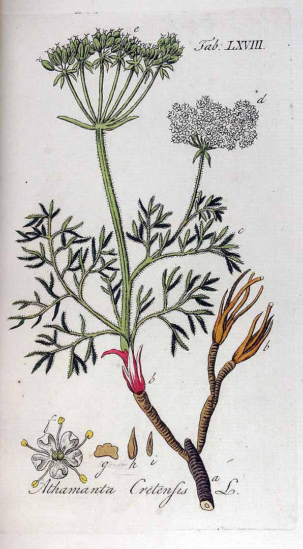 no HD illustration available (3)