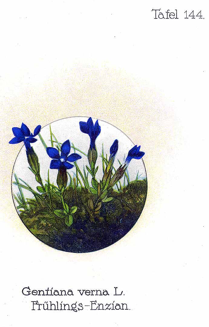 no HD illustration available (3)