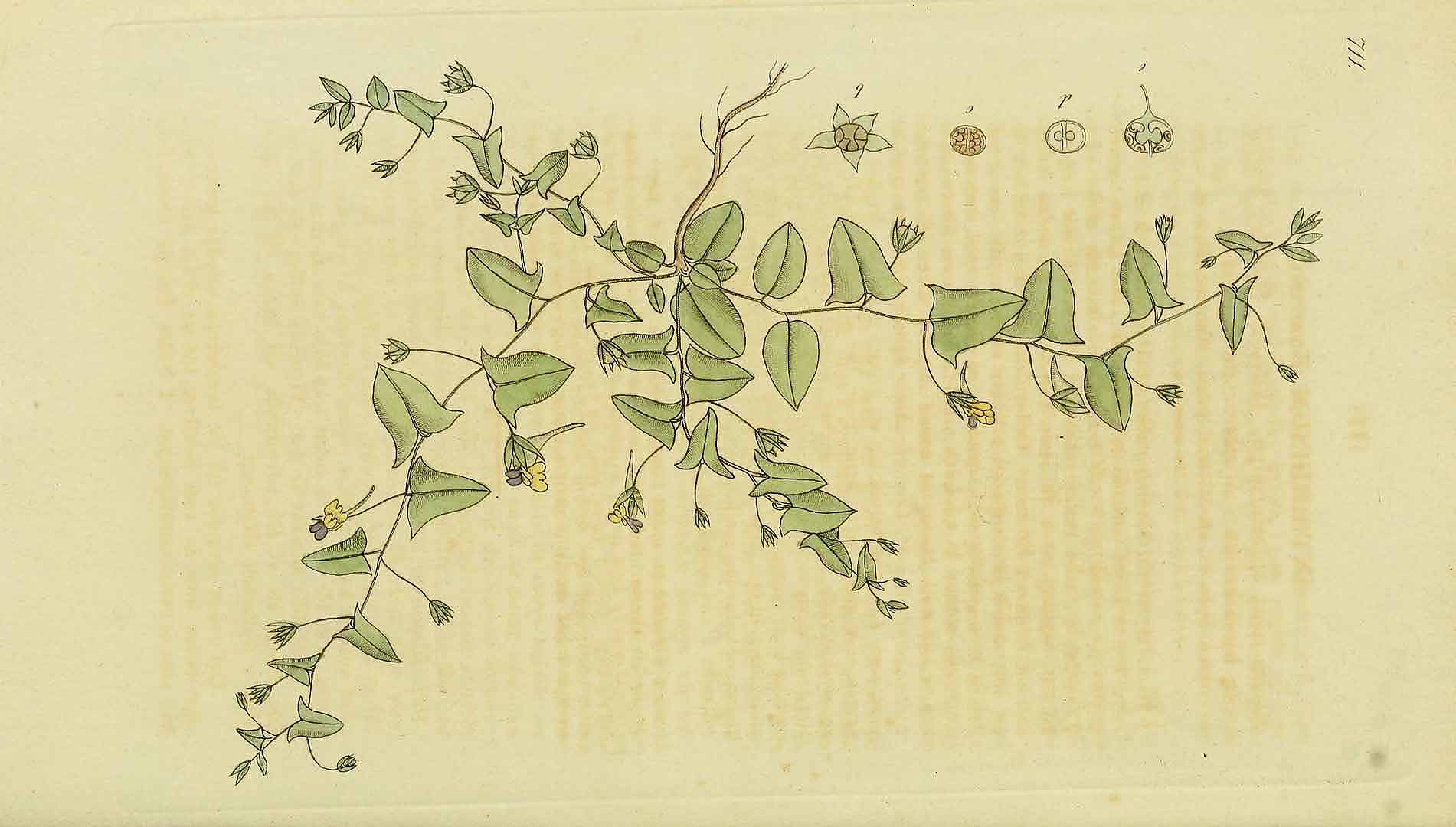 no HD illustration available (3)