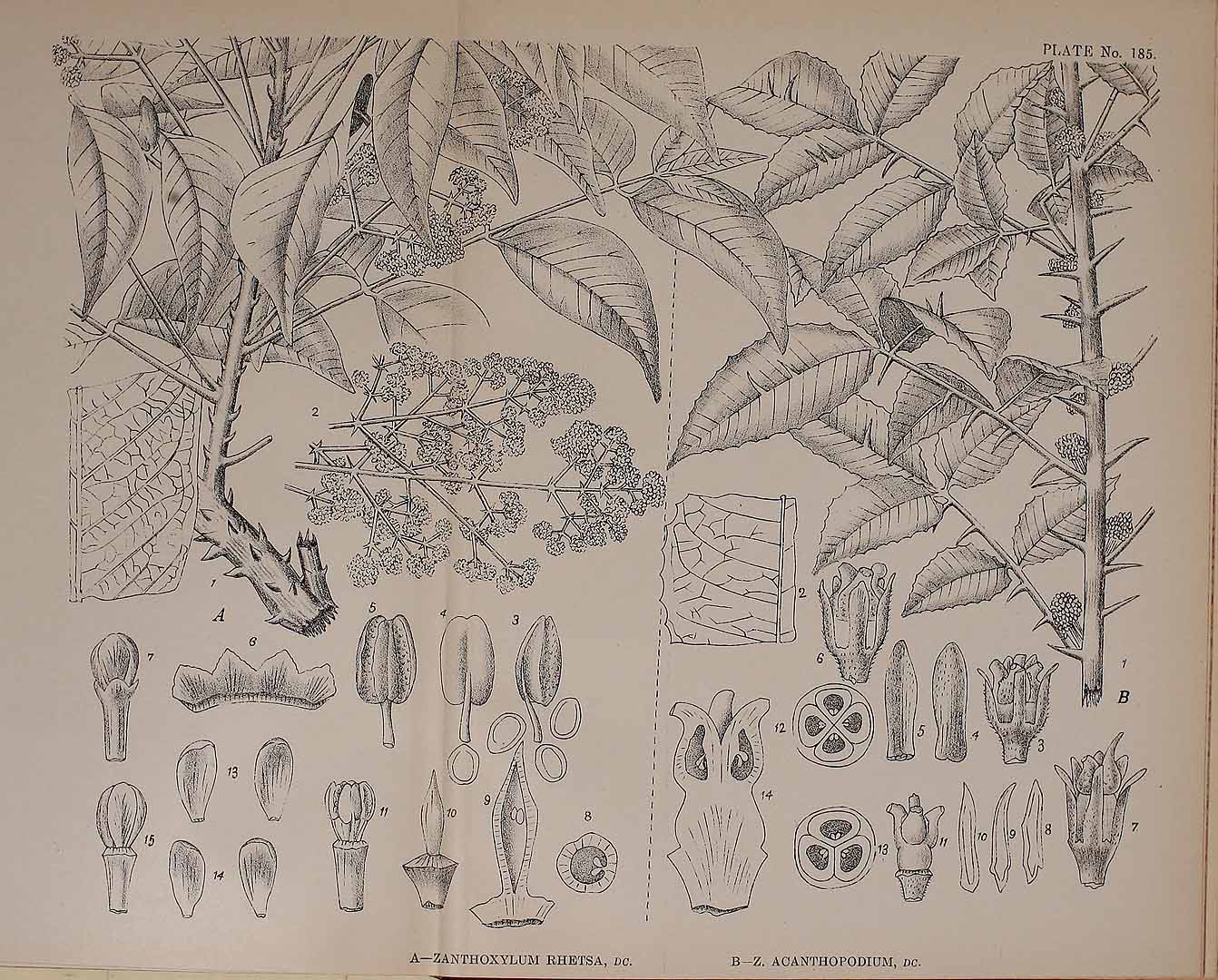 no HD illustration available (3)