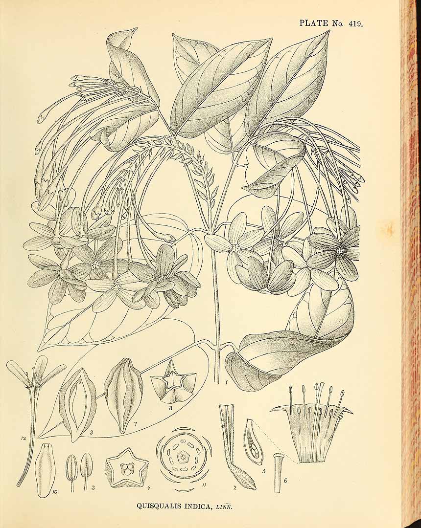 no HD illustration available (3)