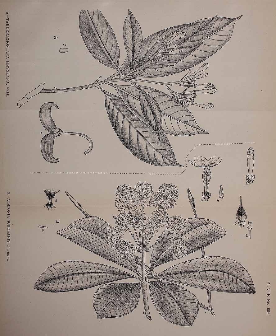 no HD illustration available (3)