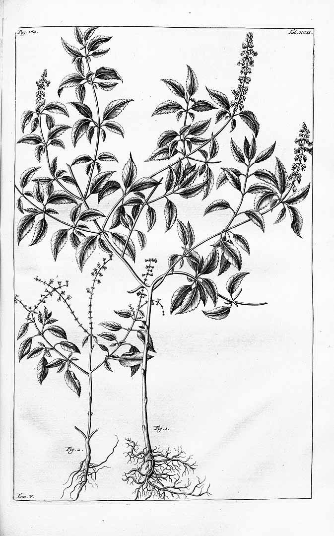 no HD illustration available (3)