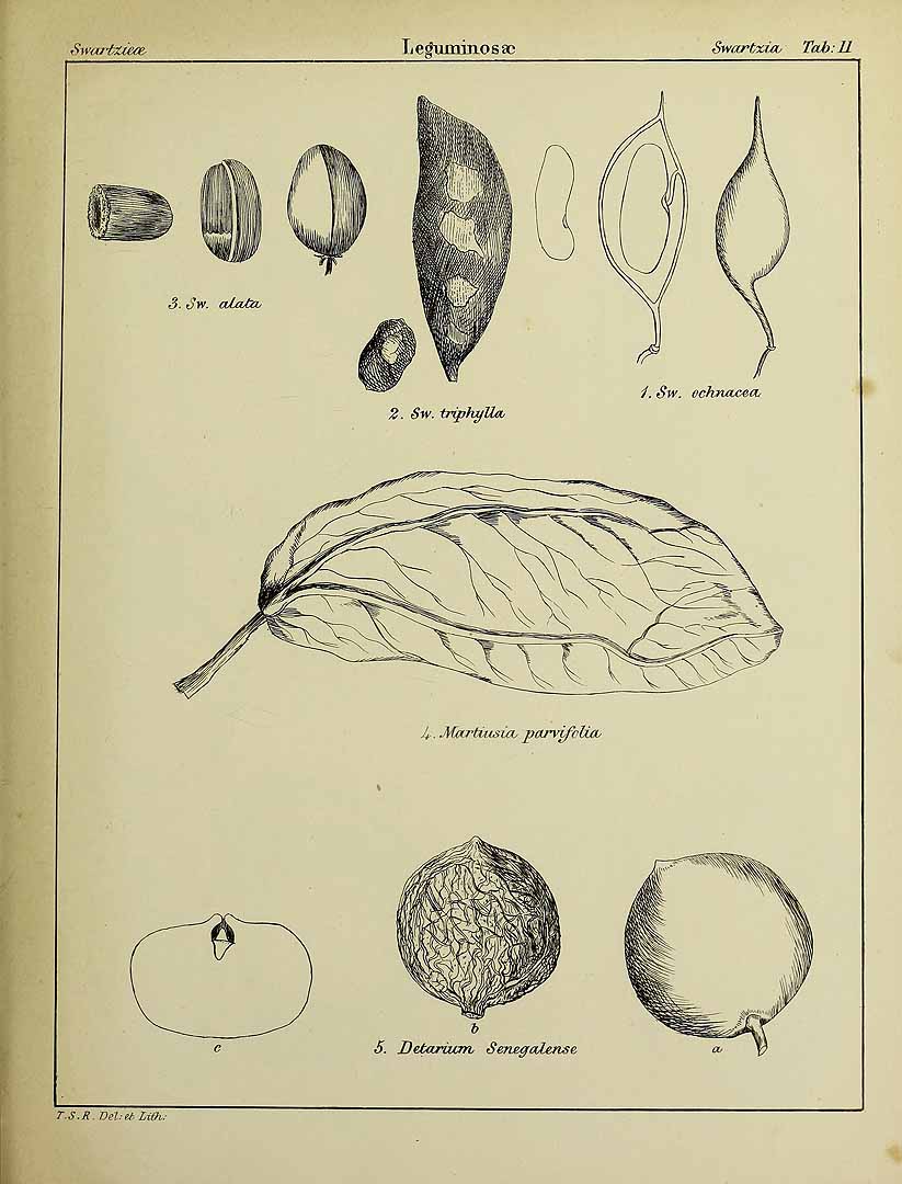 no HD illustration available (3)