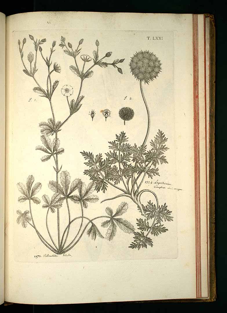 no HD illustration available (3)