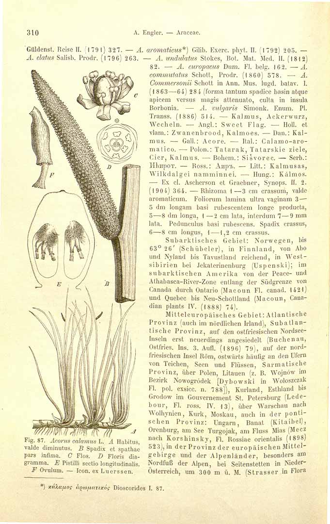 no HD illustration available (3)