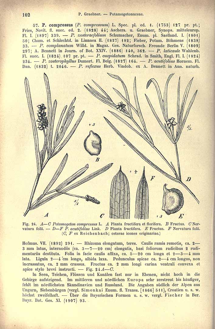 no HD illustration available (3)