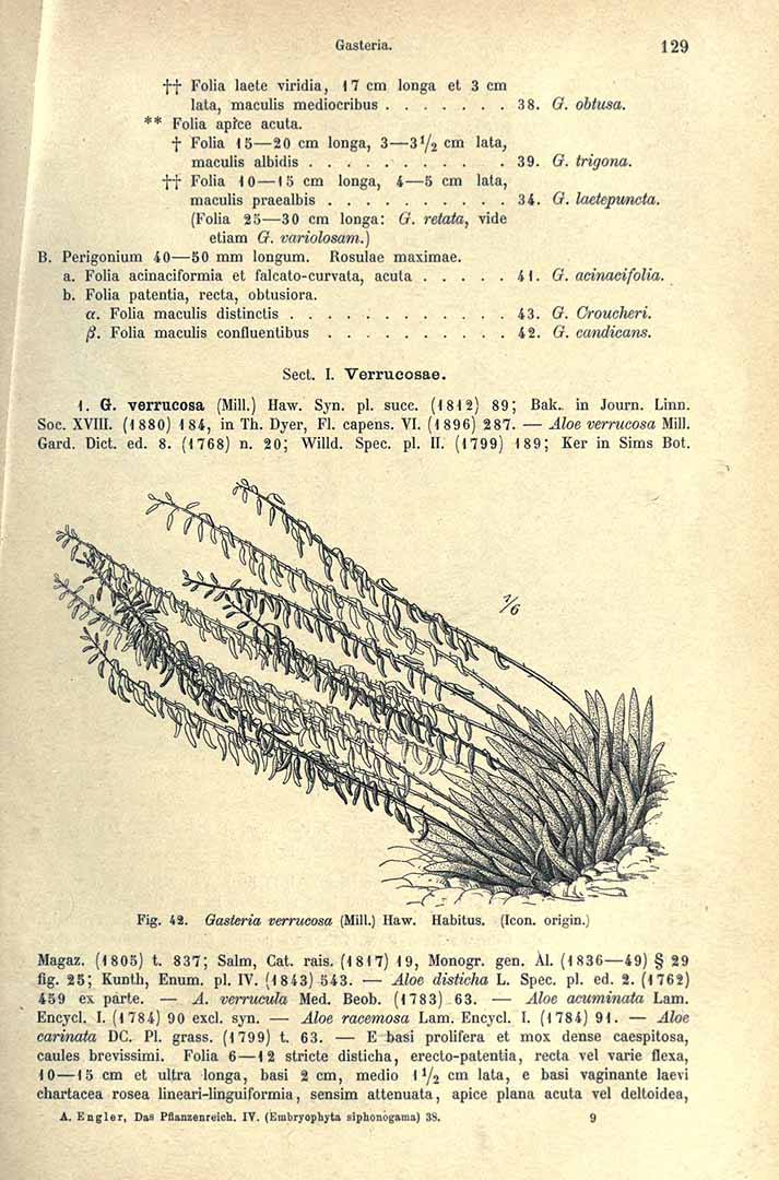 no HD illustration available (3)
