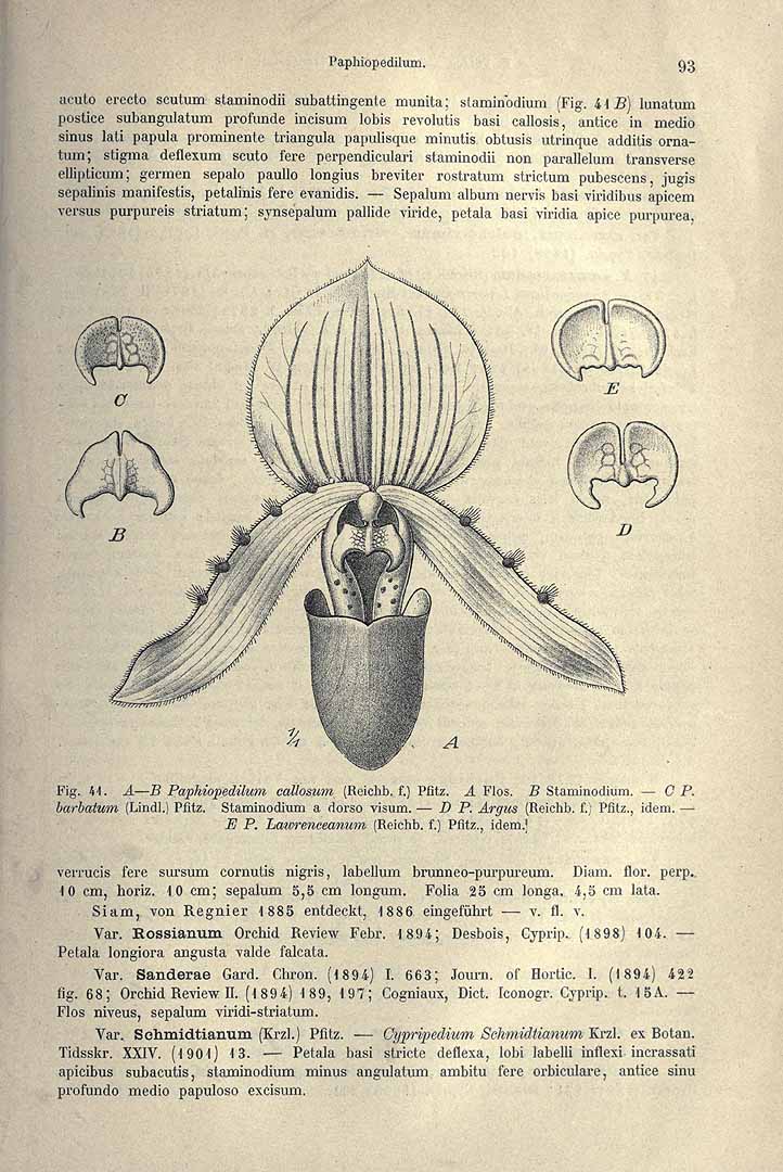 no HD illustration available (3)