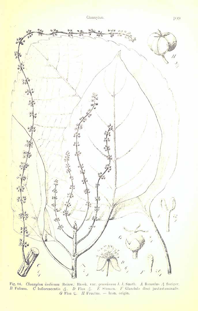 no HD illustration available (3)
