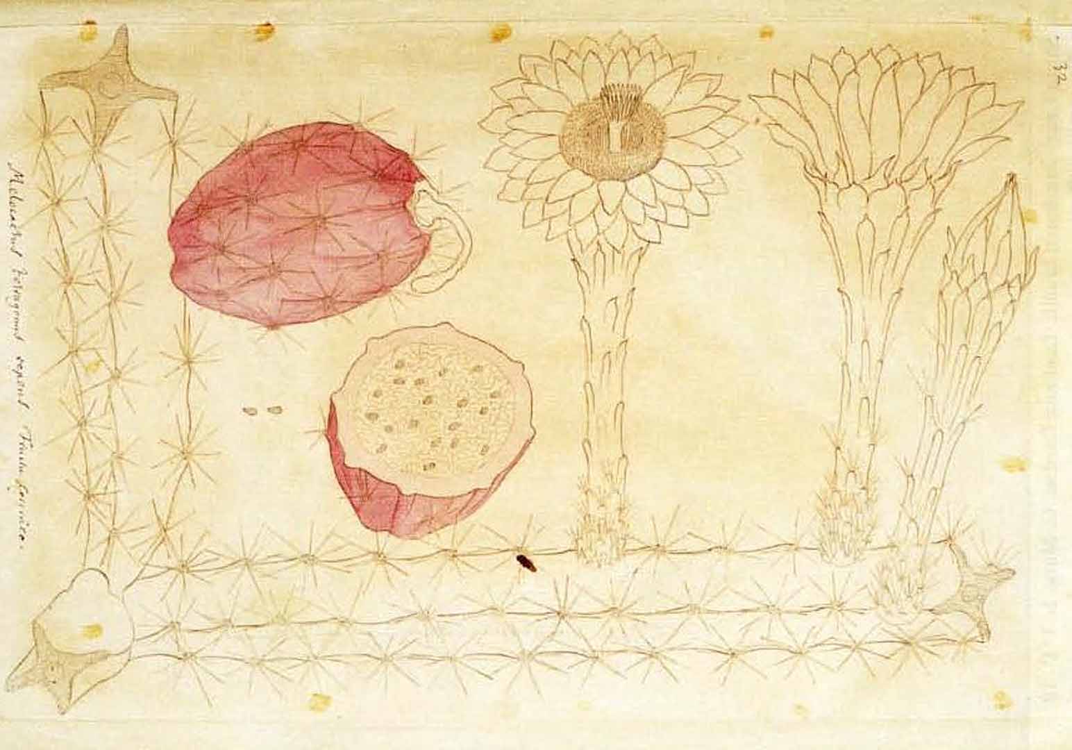 no HD illustration available (3)