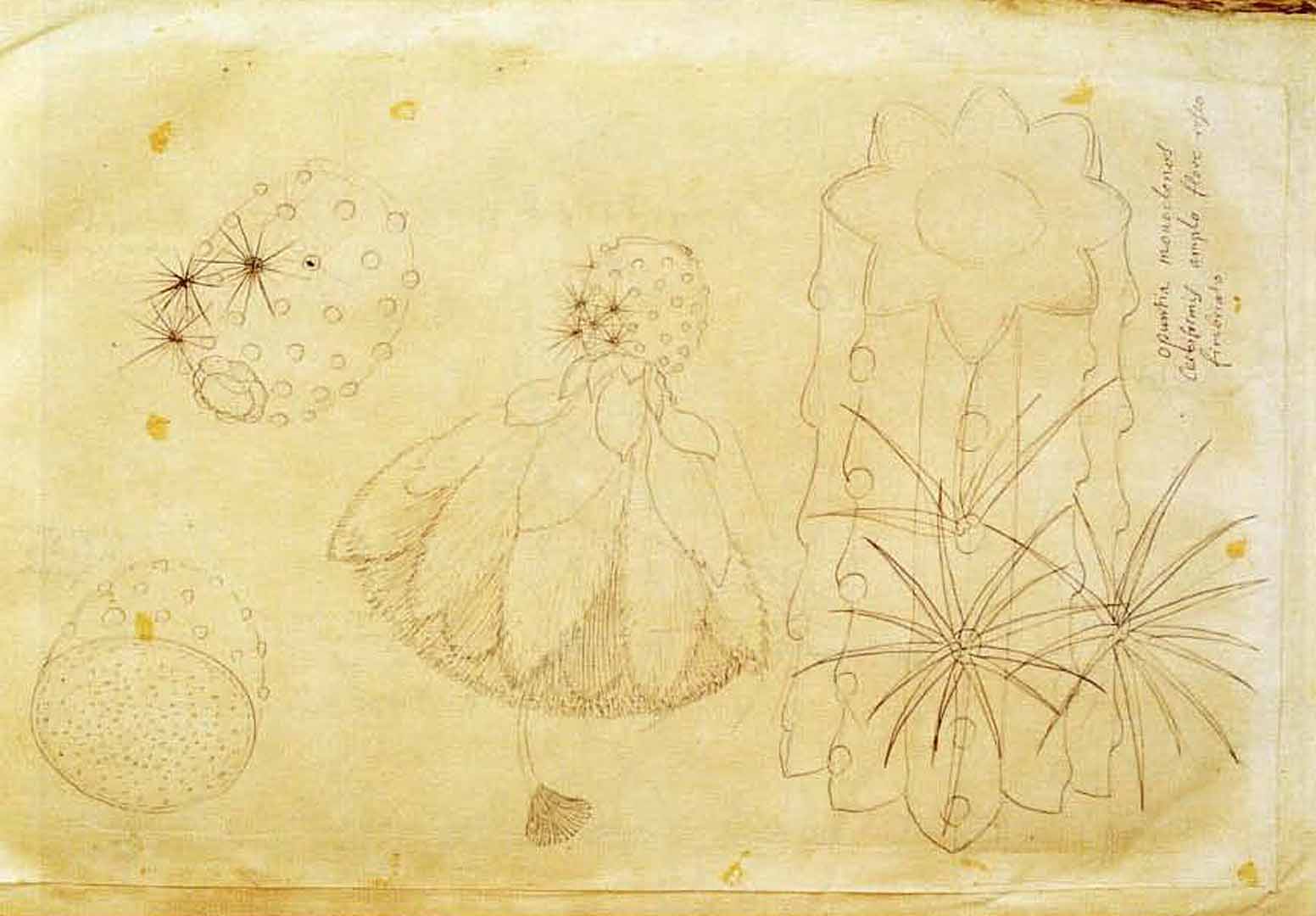 no HD illustration available (3)