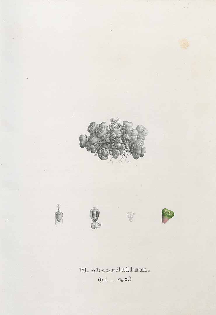 no HD illustration available (3)