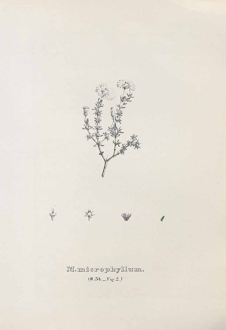 no HD illustration available (3)