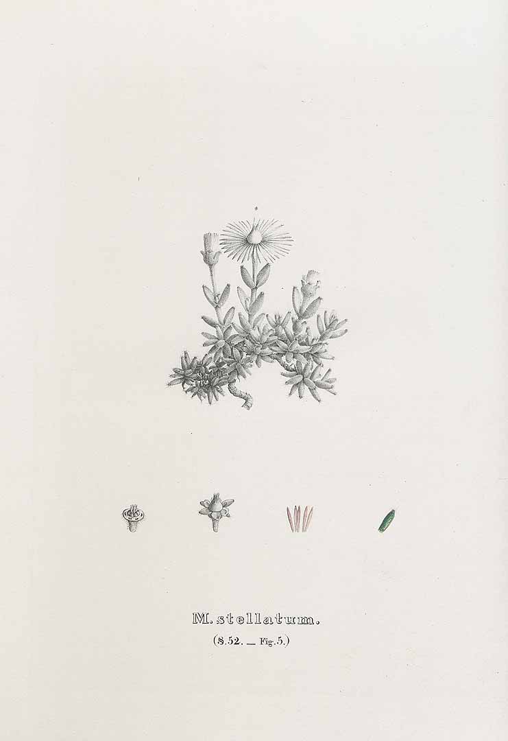 no HD illustration available (3)