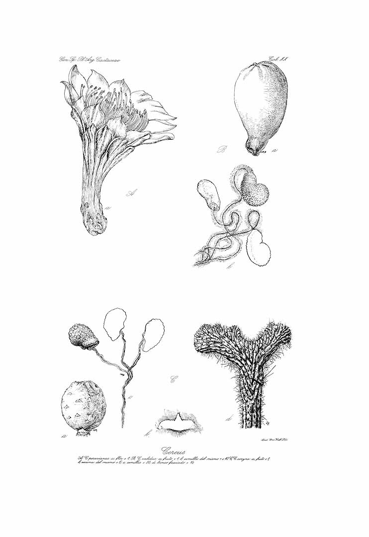 no HD illustration available (3)