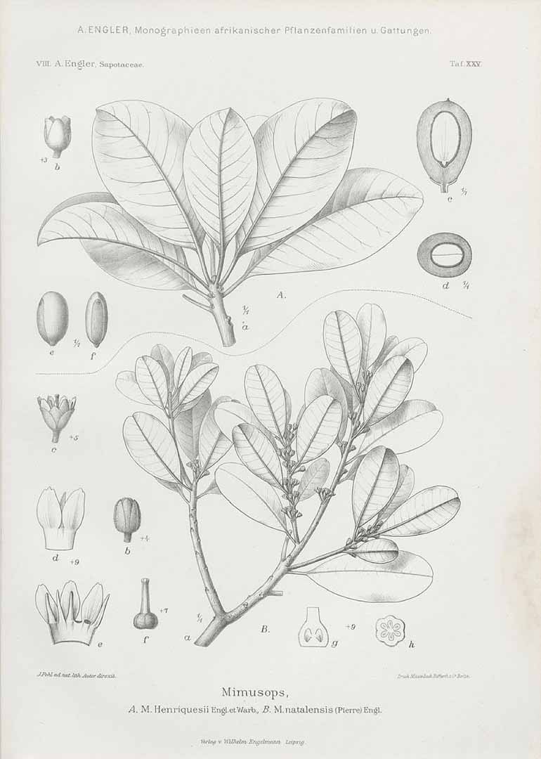 no HD illustration available (3)