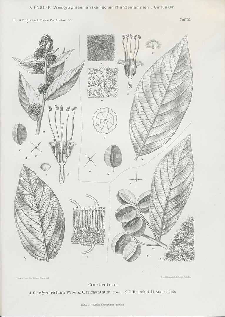 no HD illustration available (3)