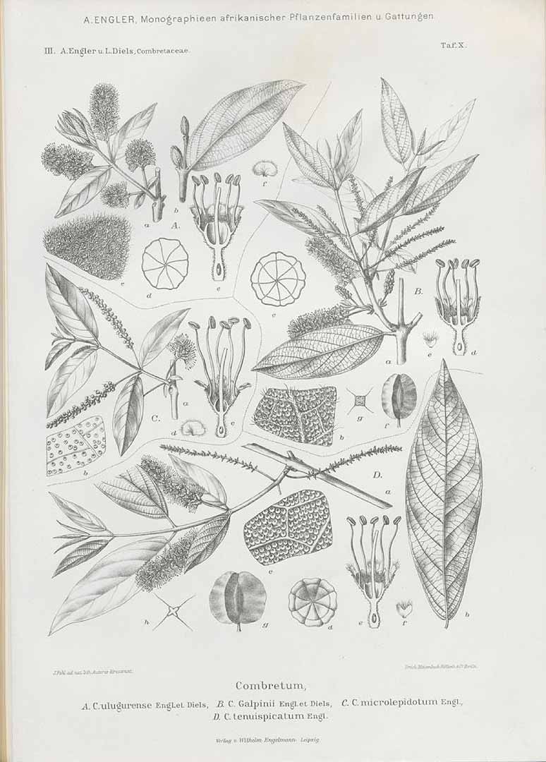 no HD illustration available (3)
