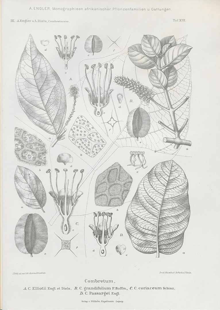 no HD illustration available (3)
