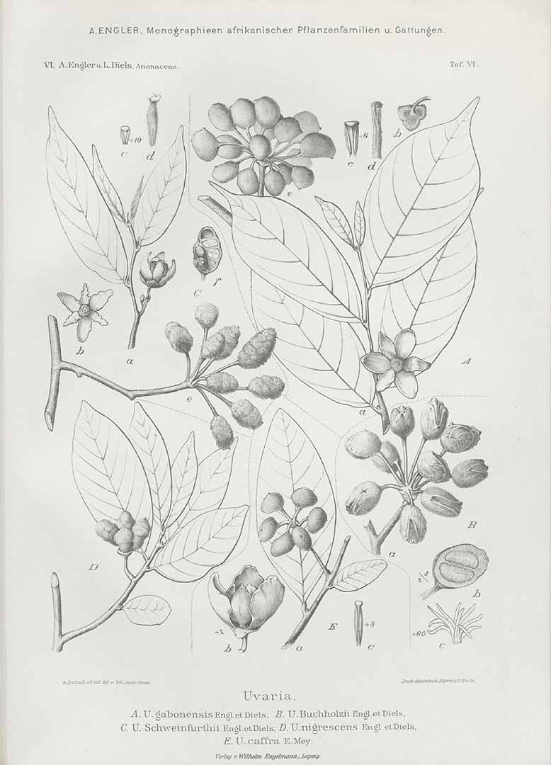no HD illustration available (3)