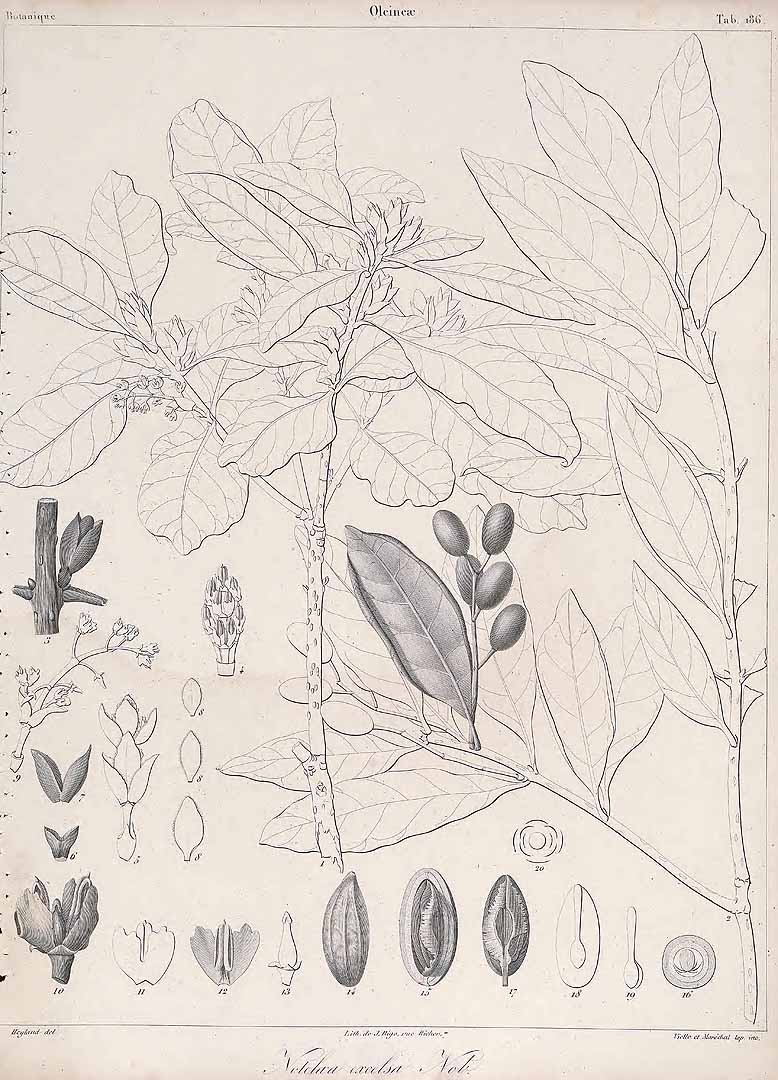 no HD illustration available (3)