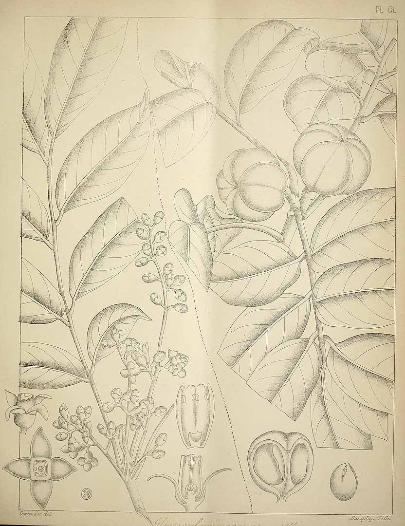 no HD illustration available (3)