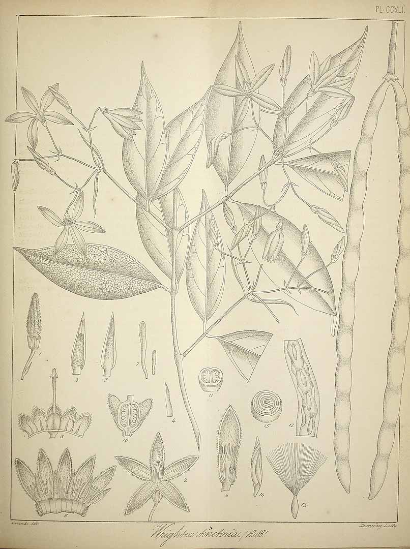 no HD illustration available (3)