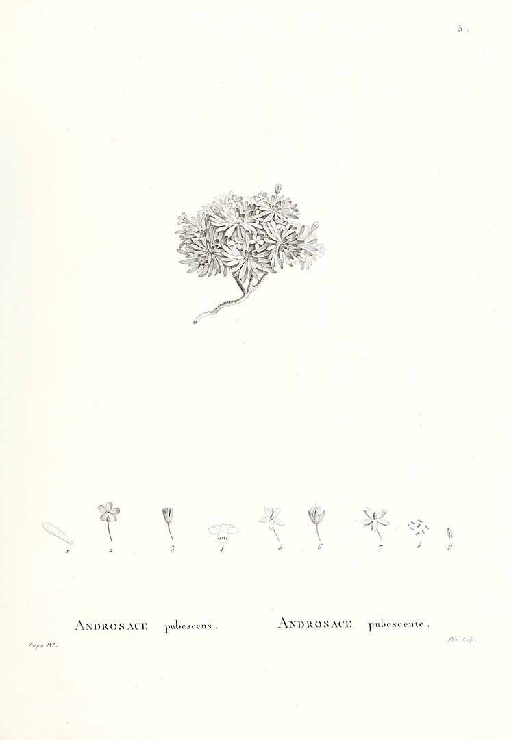 no HD illustration available (3)