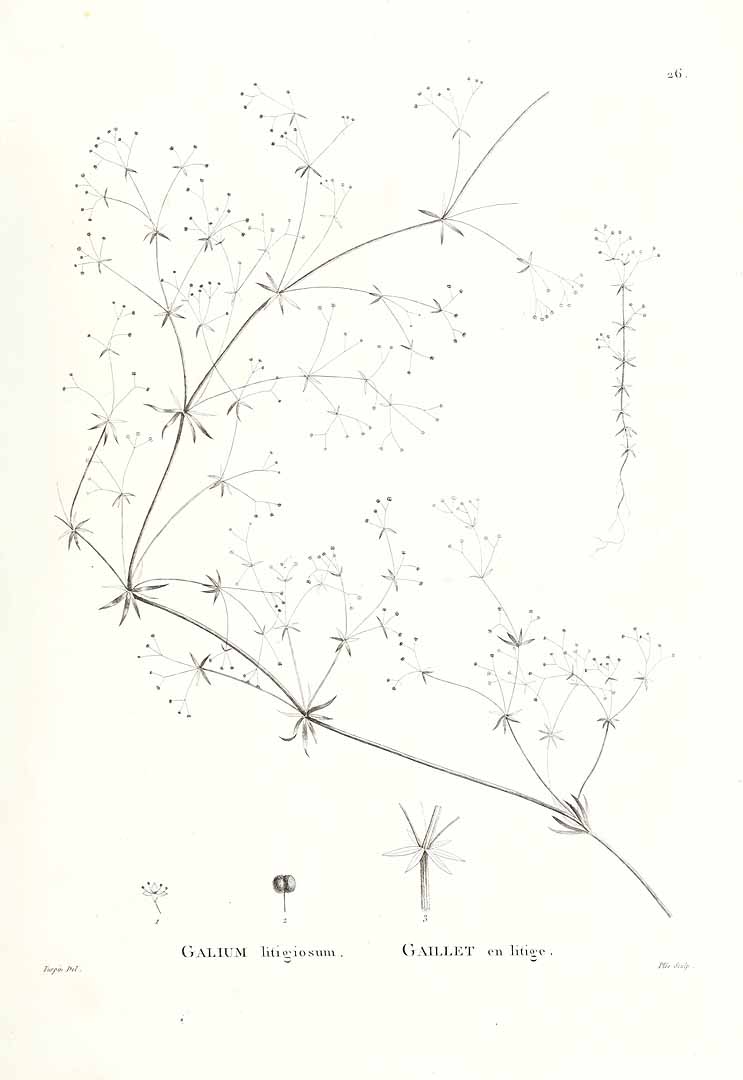 no HD illustration available (3)