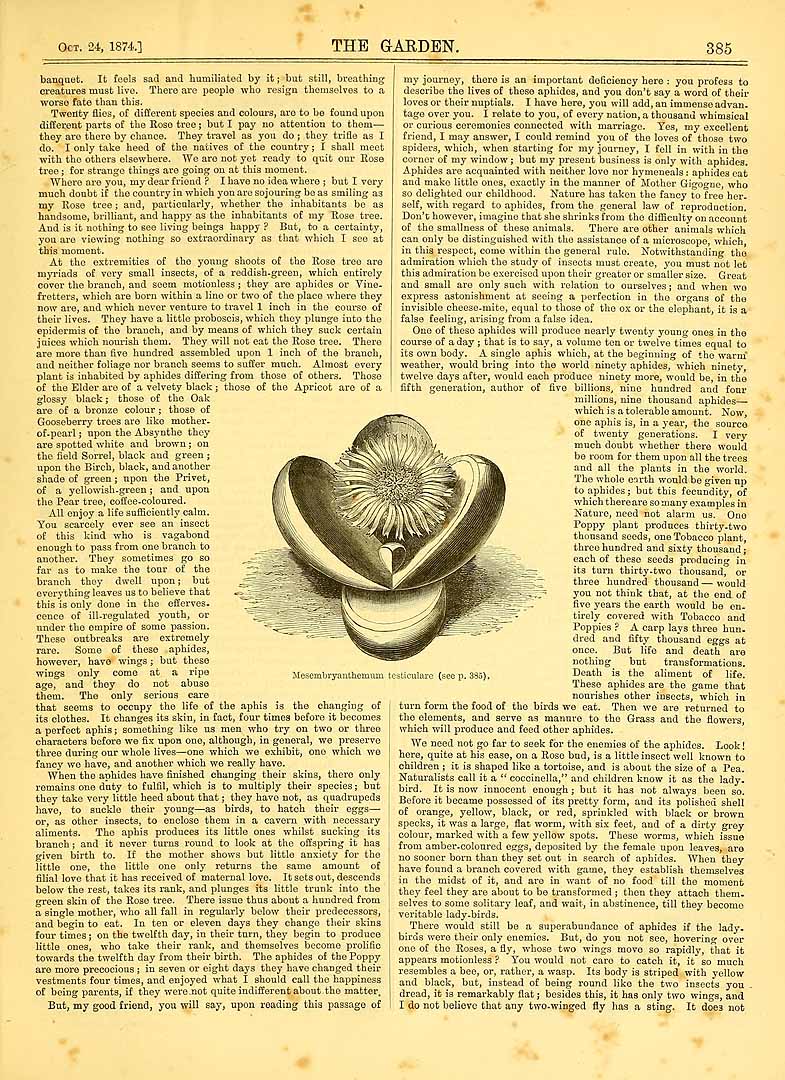no HD illustration available (3)