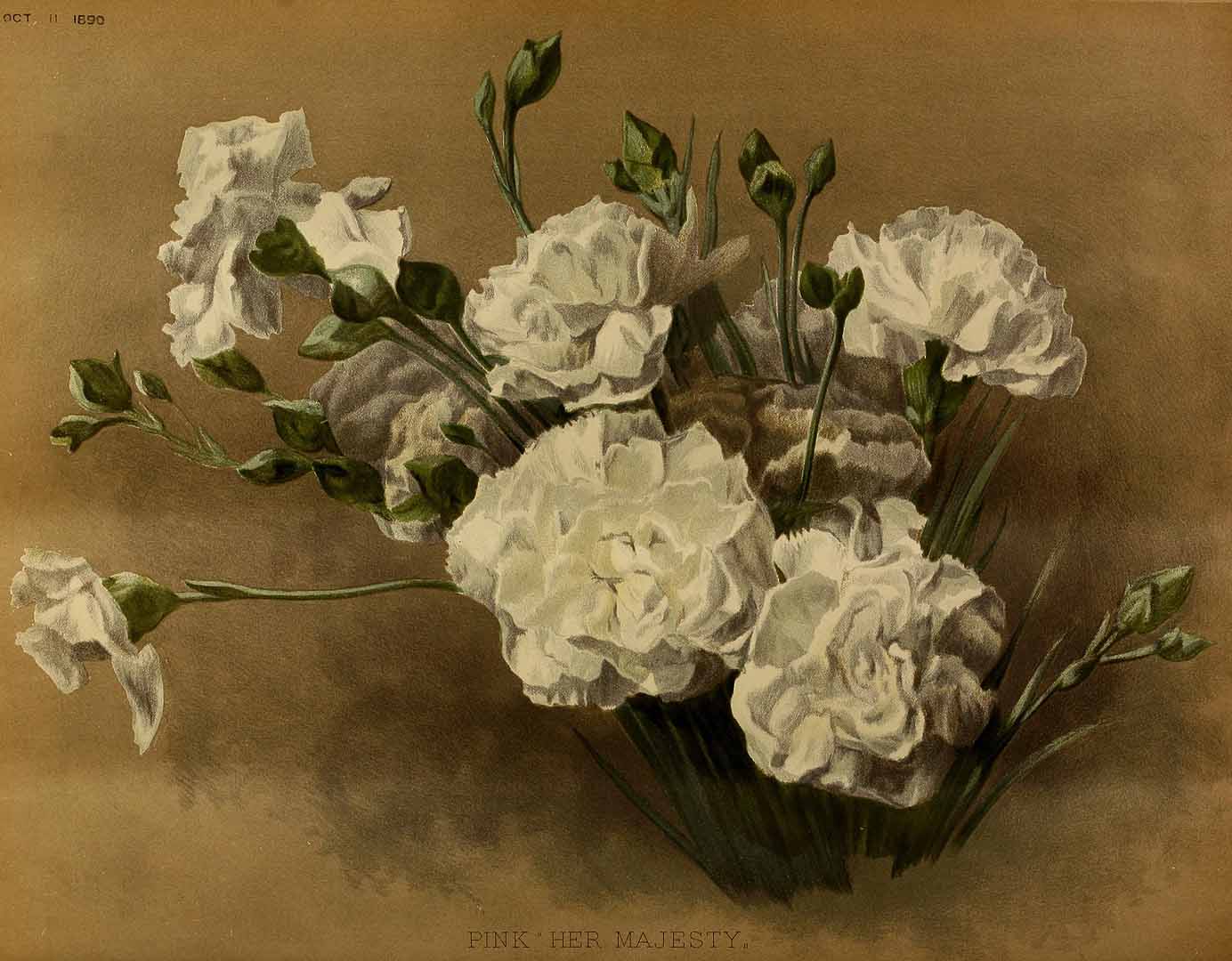 no HD illustration available (3)