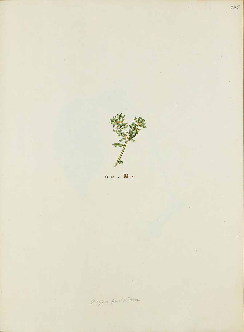 no HD illustration available (3)