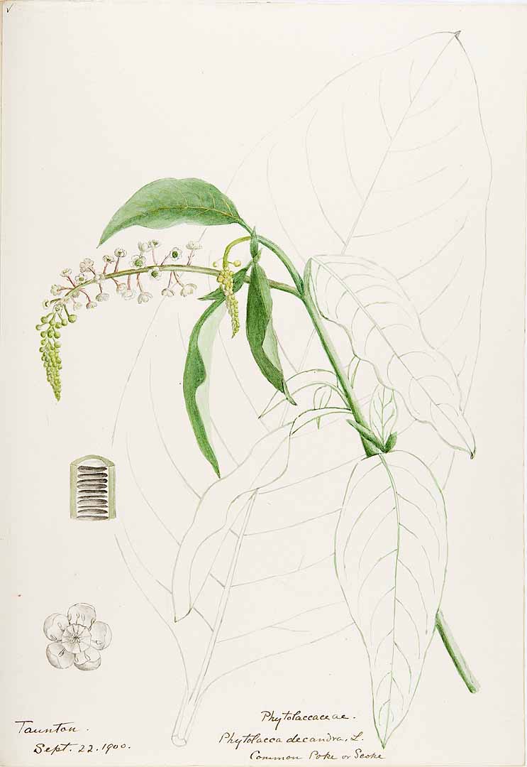 no HD illustration available (3)