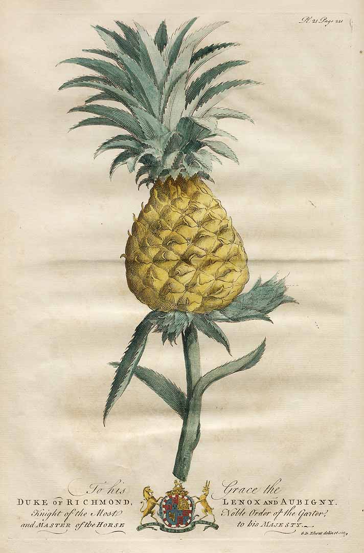 no HD illustration available (3)