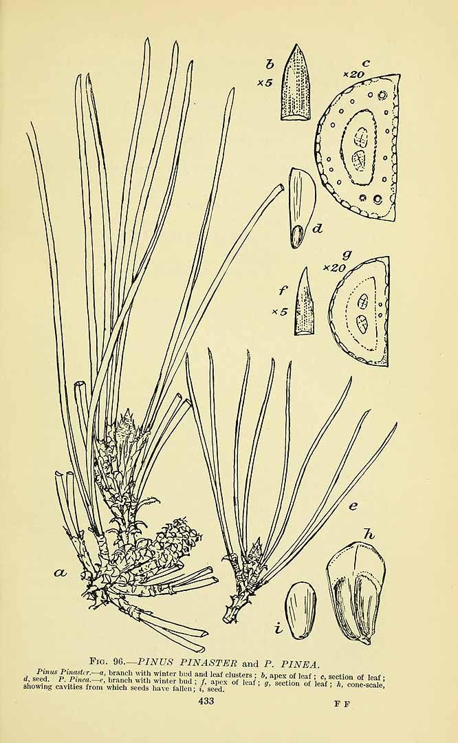 no HD illustration available (3)