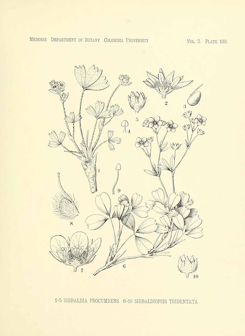 no HD illustration available (3)