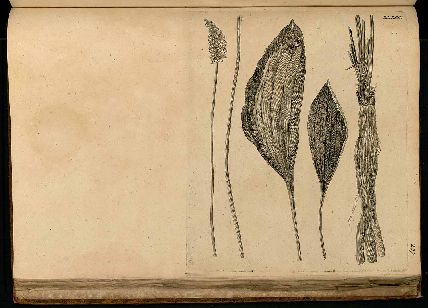no HD illustration available (3)