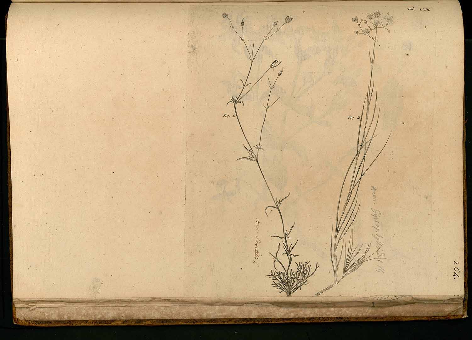 no HD illustration available (3)