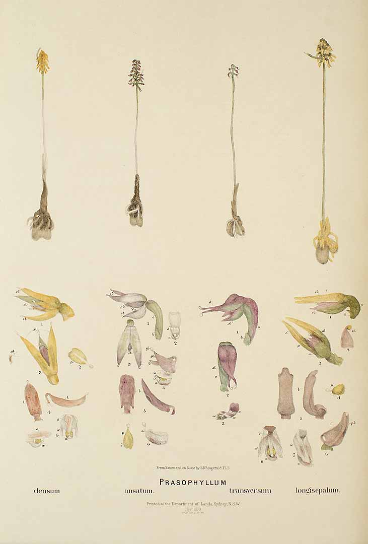 no HD illustration available (3)