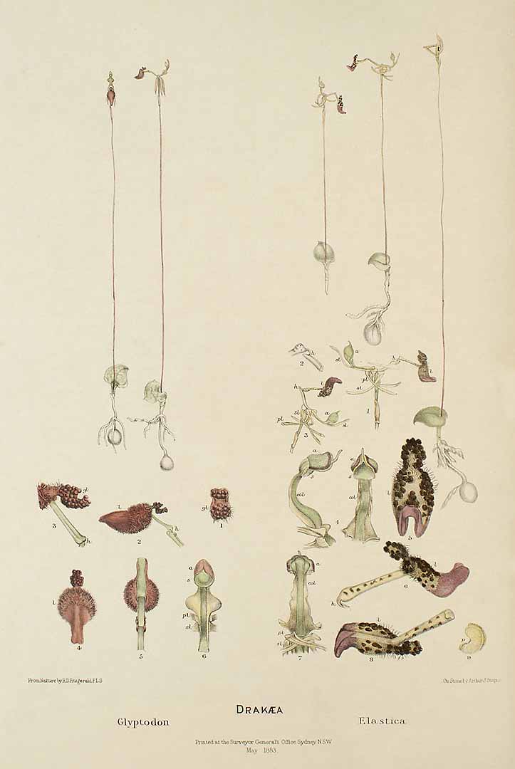 no HD illustration available (3)