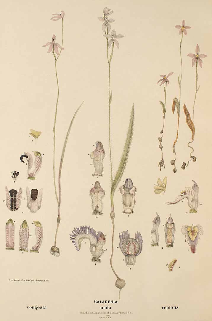no HD illustration available (3)