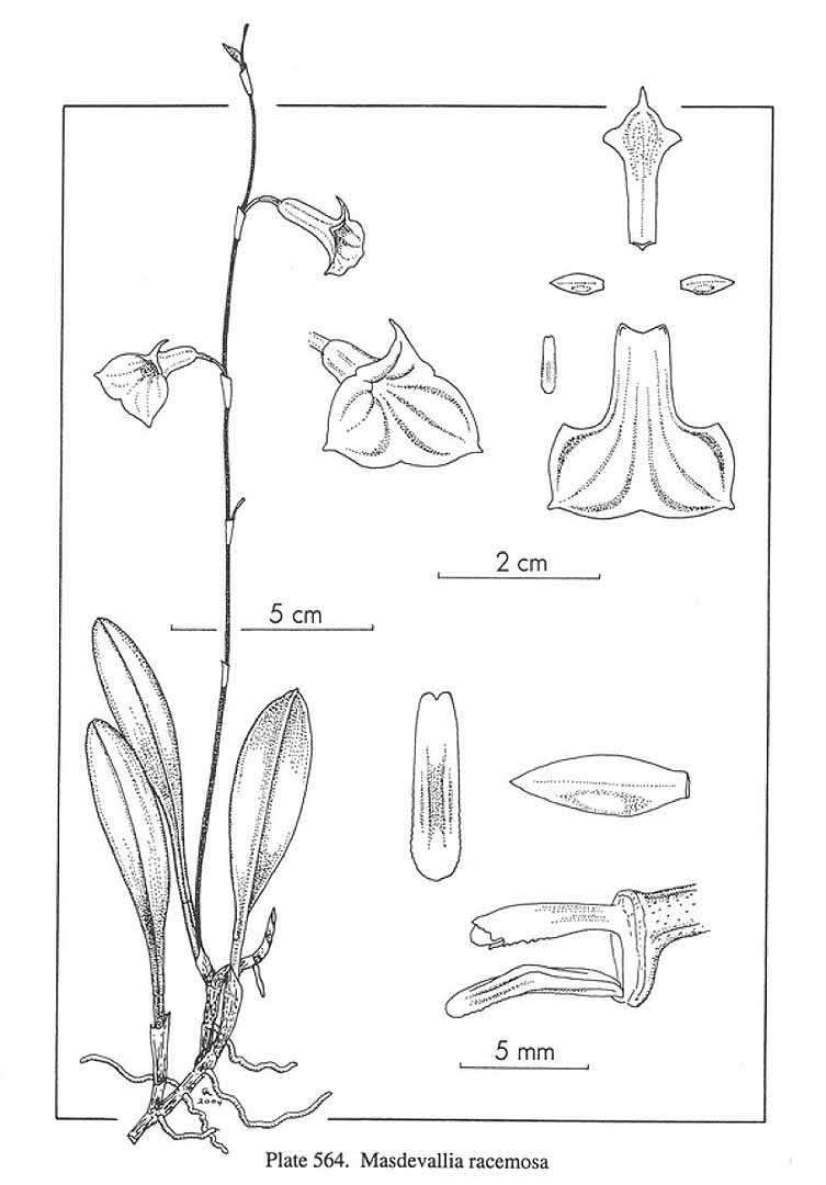 no HD illustration available (3)