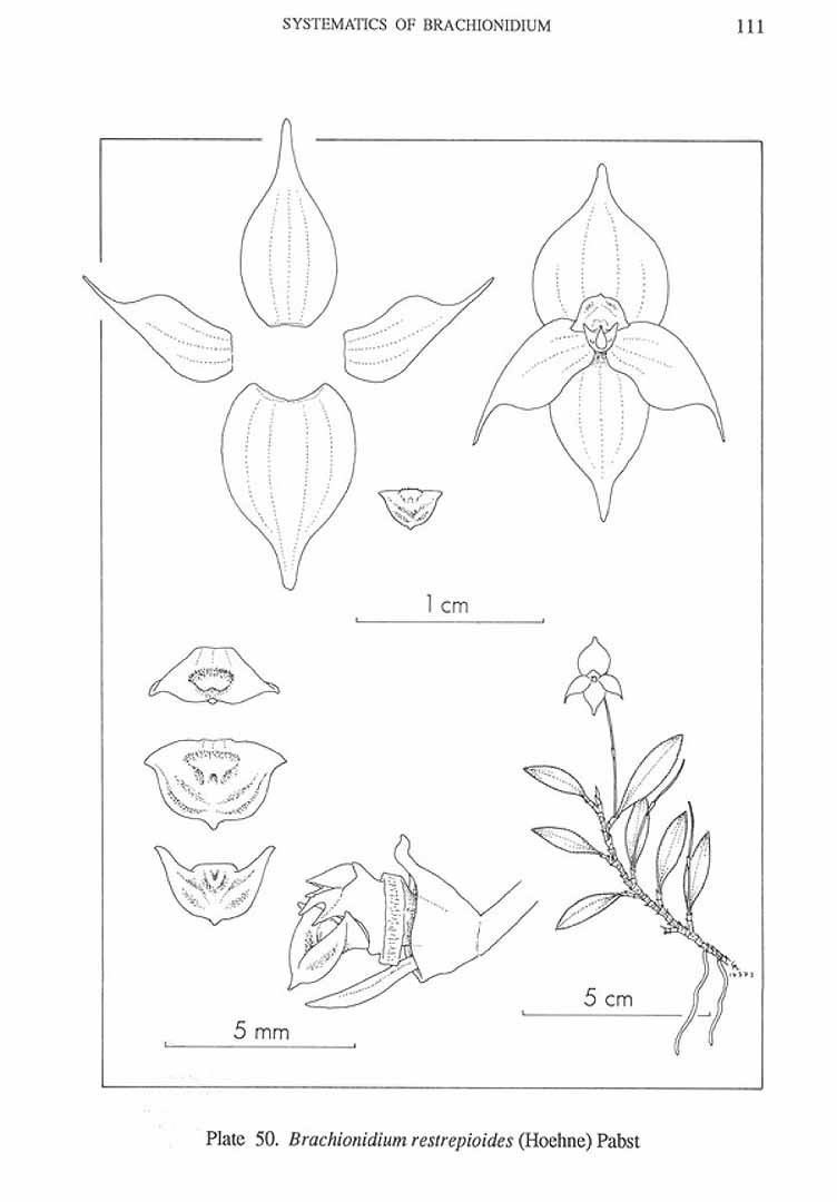 no HD illustration available (3)