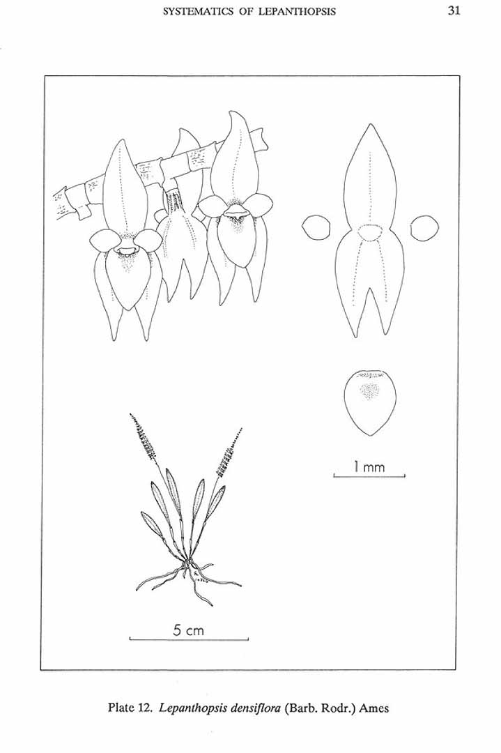 no HD illustration available (3)